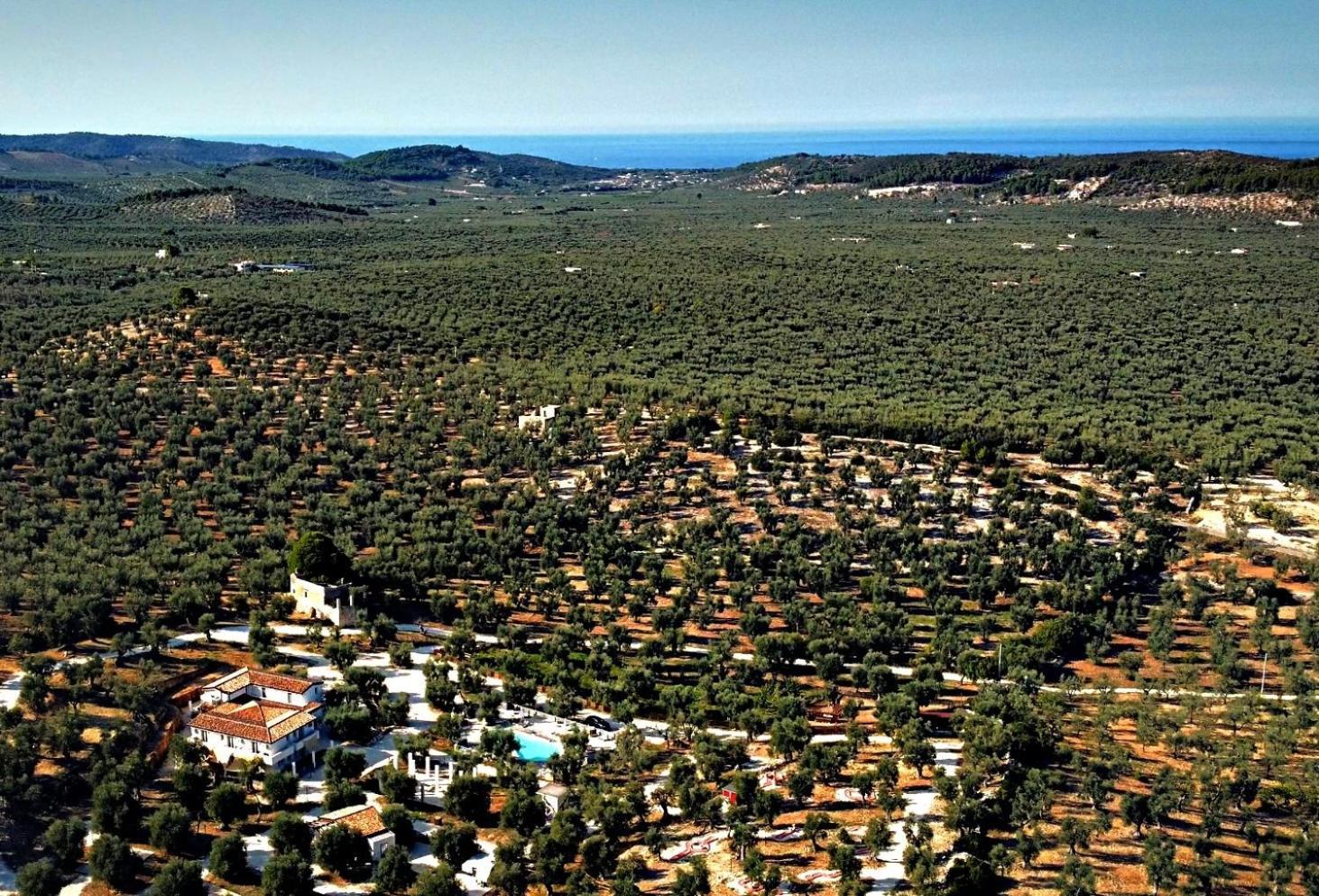 Agricampeggio - Solo Piazzole Vuote - Agriturismo Passione Natura Vieste Dış mekan fotoğraf